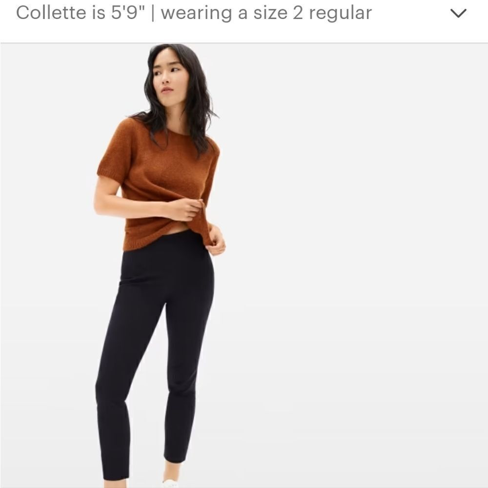 Everlane The Side Zip Pant Size 00